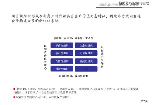新组织设计管理咨询项目建议书 项目策划与公关服务