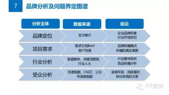 公关必读 从项目策划到解决方案落地的全攻略
